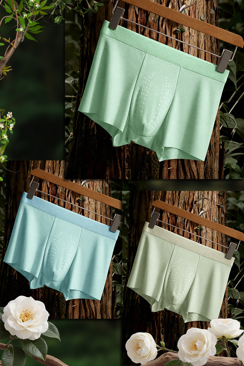 Men's Ice Silk Breathable Cordyceps Nourishing Underwear, Thin Design | 3/6/9-Pack